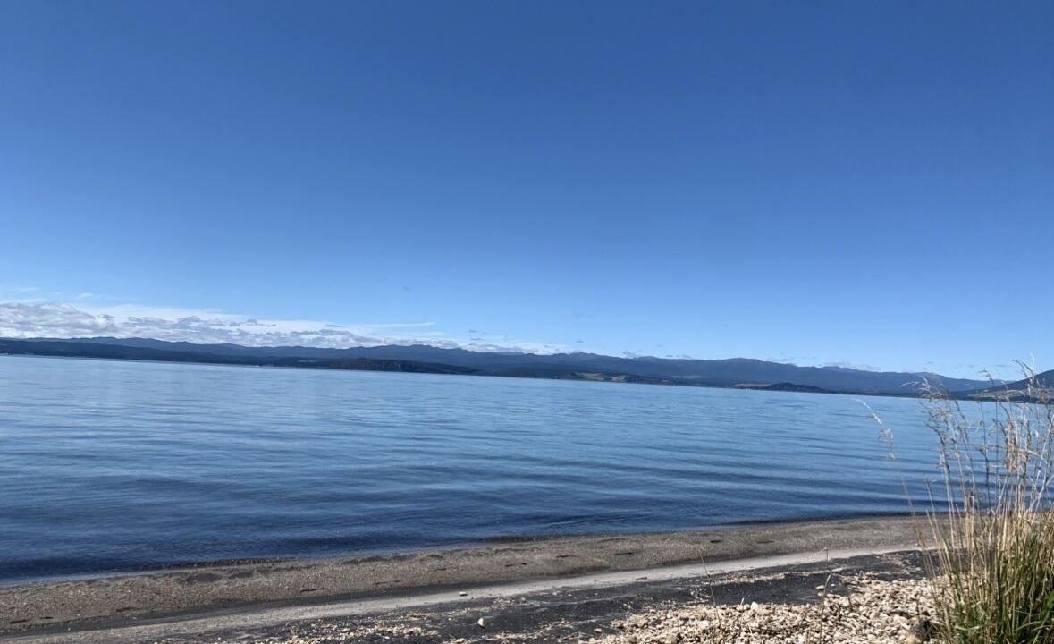 Photo of Outdoor in Whareroa Village