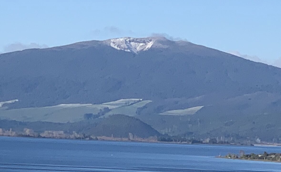 Photo of Outdoor in Whareroa Village