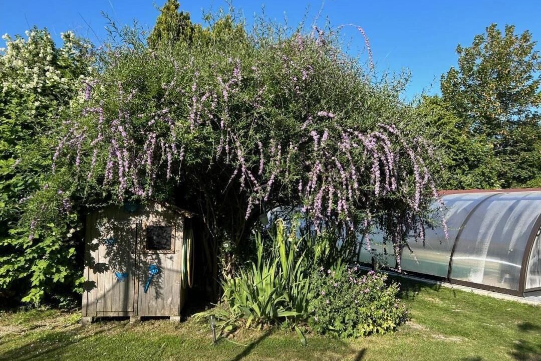 Photo of Outdoor in Mont-Dol