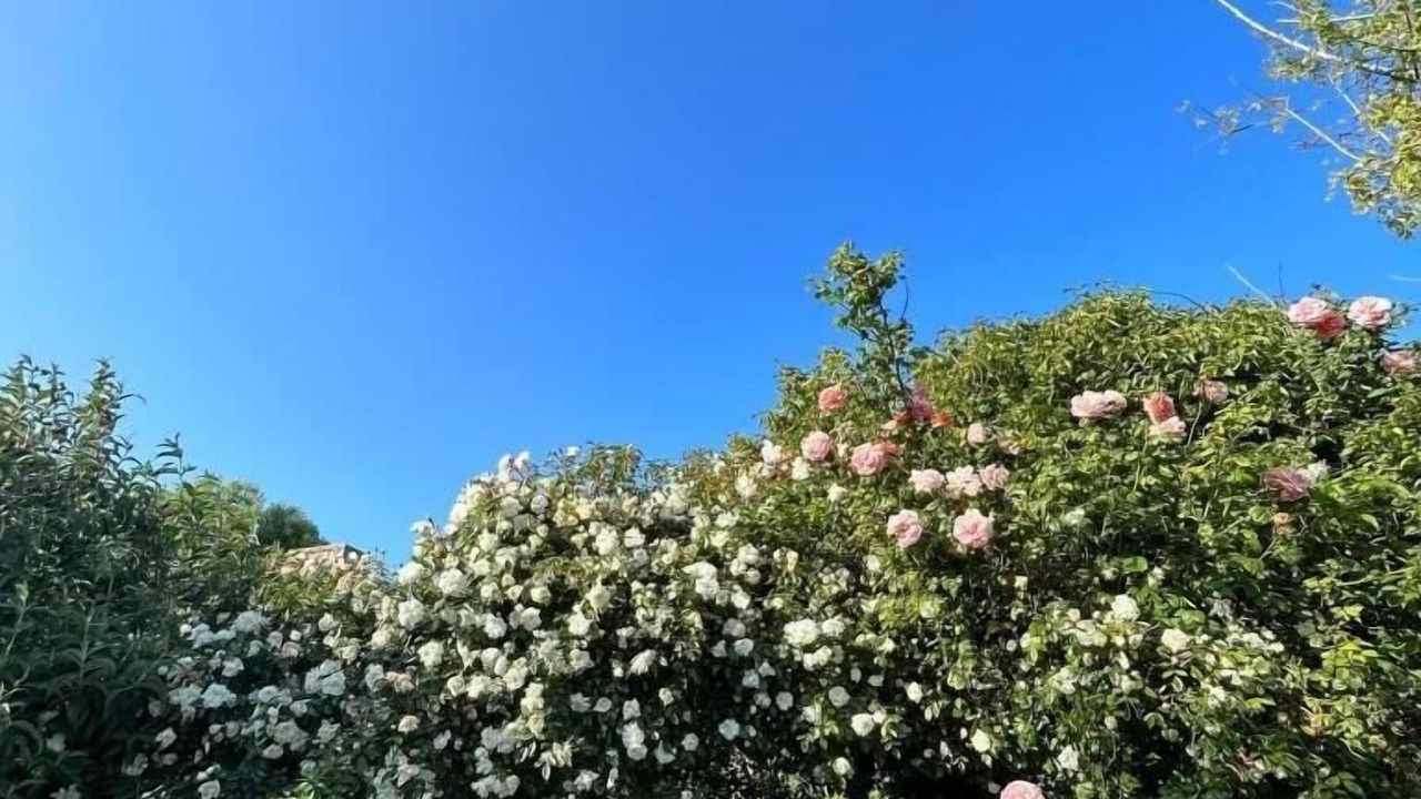 Photo of Outdoor in Mont-Dol