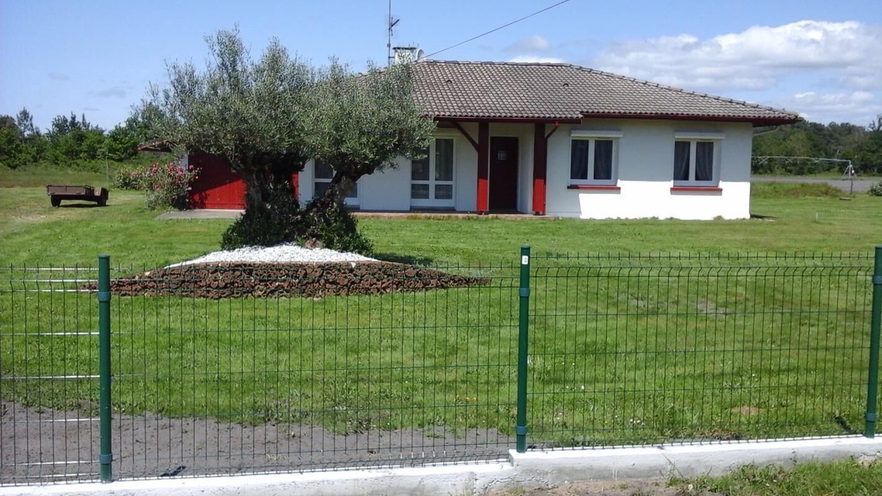 Photo of Outdoor in Bias