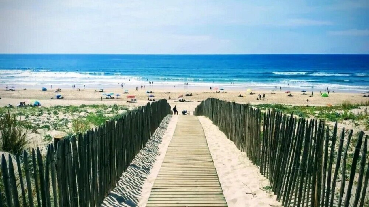 Photo of Others in Bias