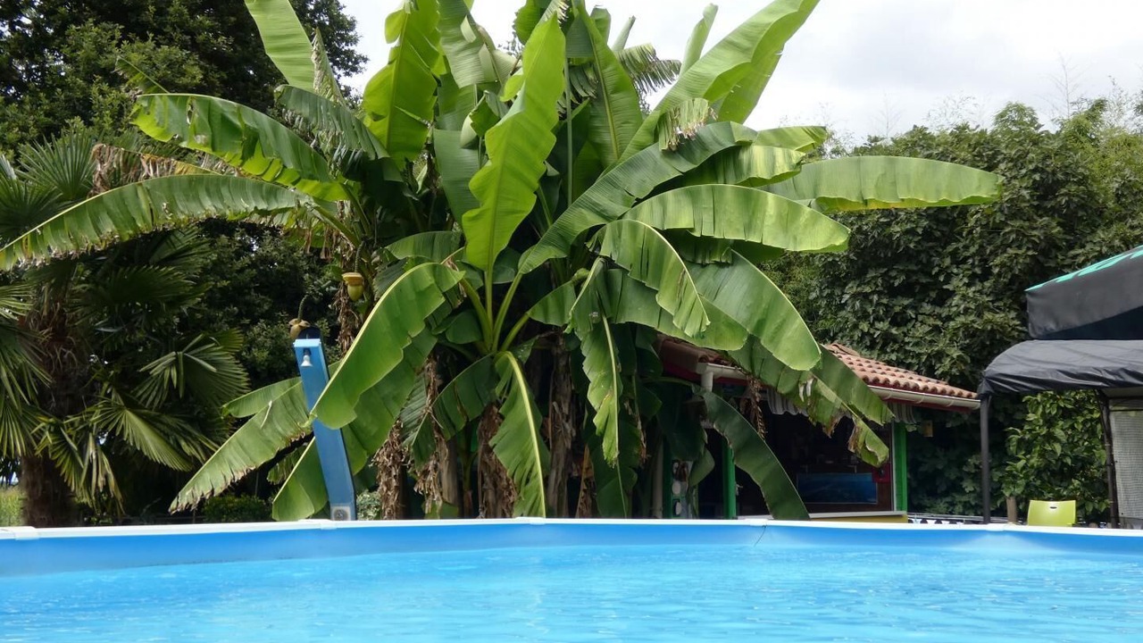 Photo of Outdoor in Heugas