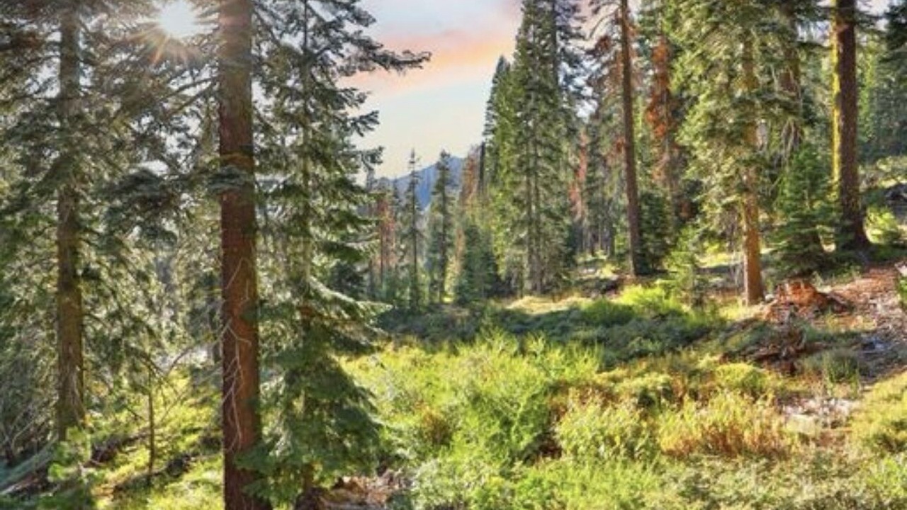 Photo of Outdoor in Echo Lake