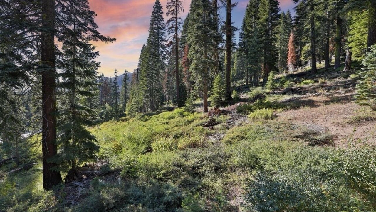Photo of Outdoor in Echo Lake
