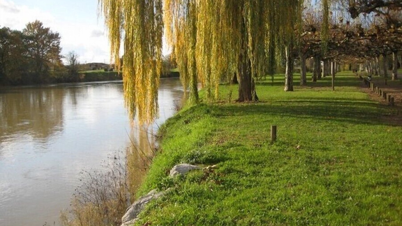 Photo of Outdoor in Grenade-sur-l'Adour