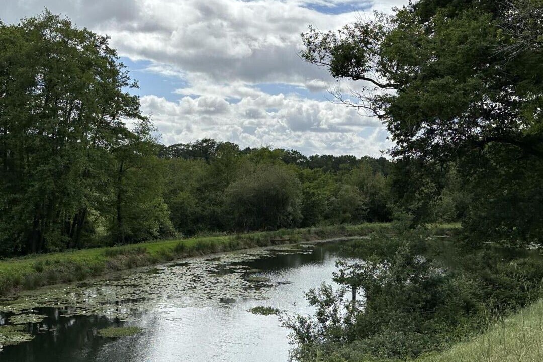 Photo of Outdoor in Tartas