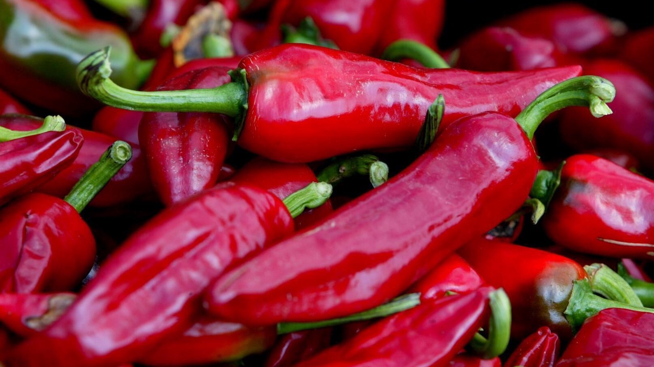 Photo of Others in Souraide