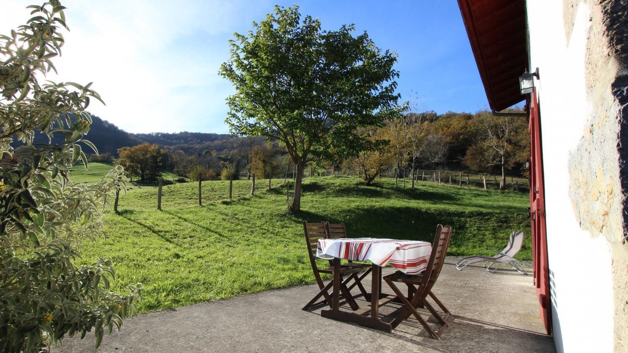 Photo of Outdoor in Hosta