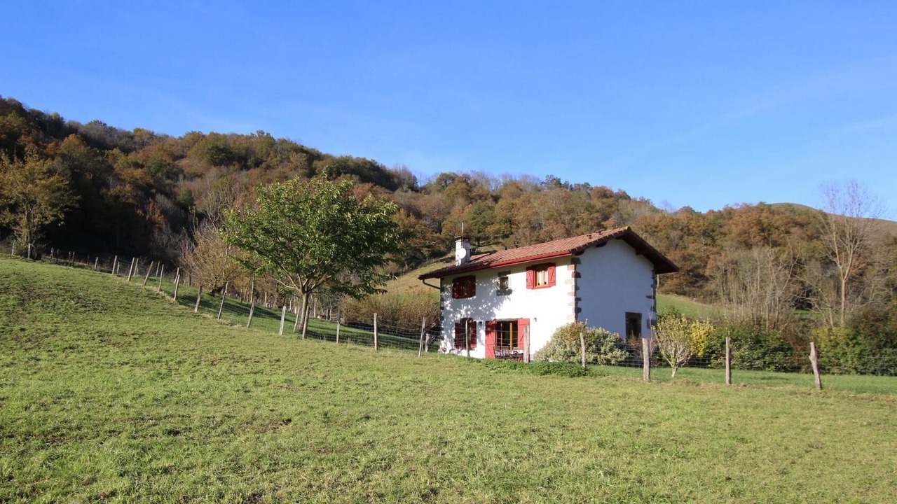 Photo of Outdoor in Hosta