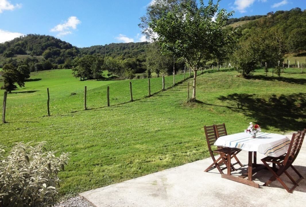 Photo of Outdoor in Hosta