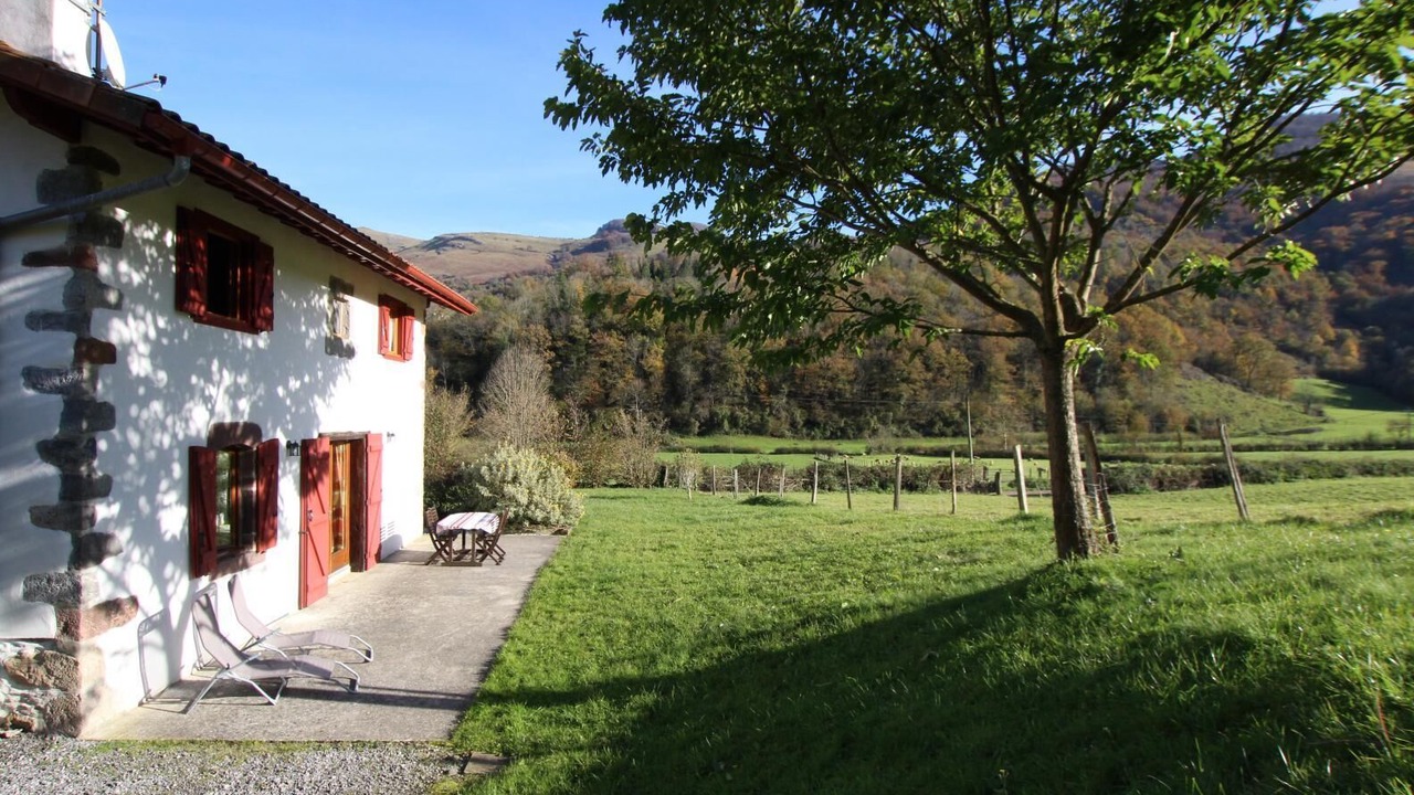 Photo of Outdoor in Hosta