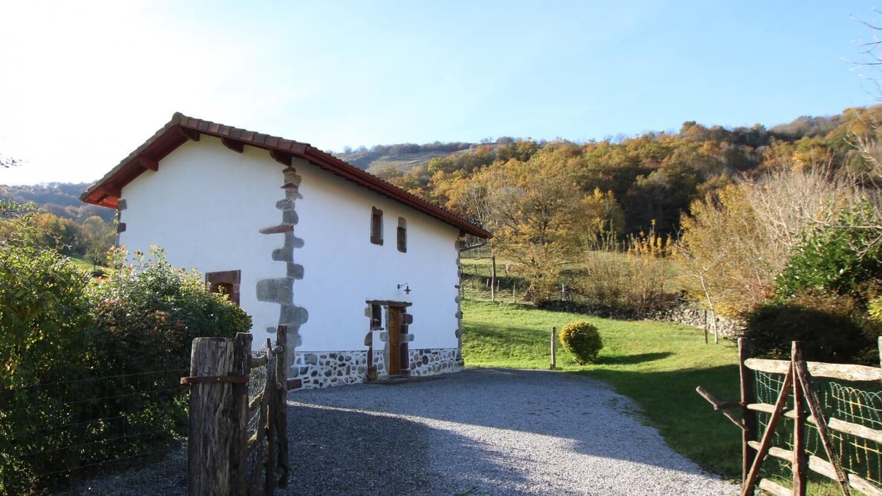 Photo of Outdoor in Hosta