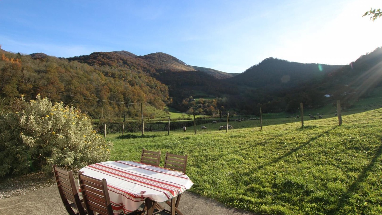 Photo of Outdoor in Hosta