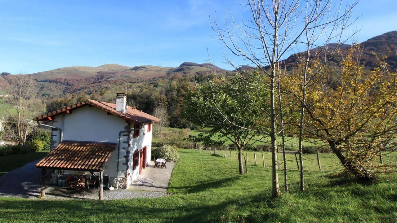 Photo of Outdoor in Hosta