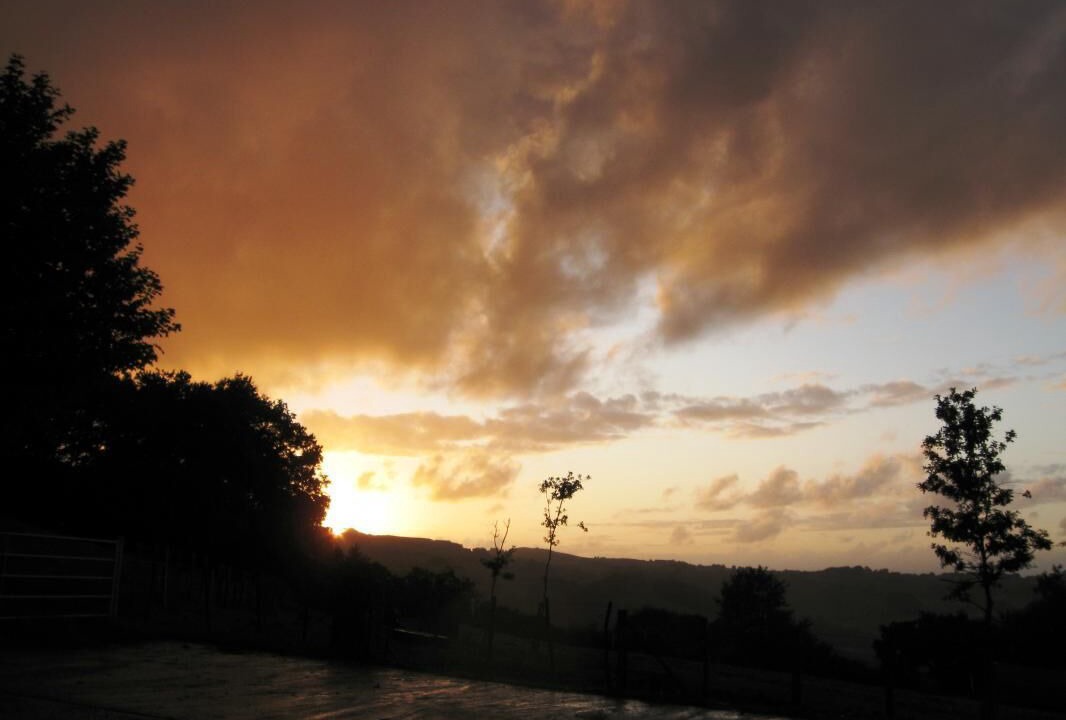 Photo of Others in Mendionde