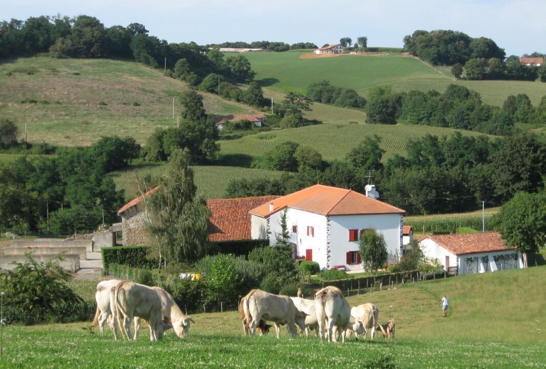 Photo of Outdoor in Mendionde