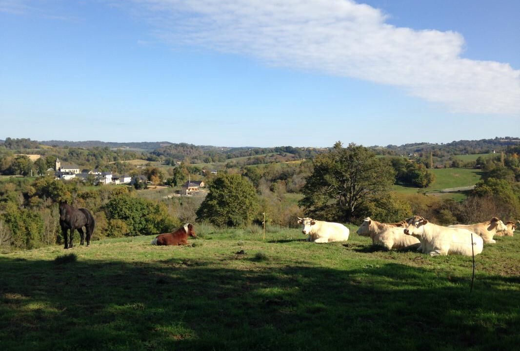 Photo of Outdoor in Lasseubetat