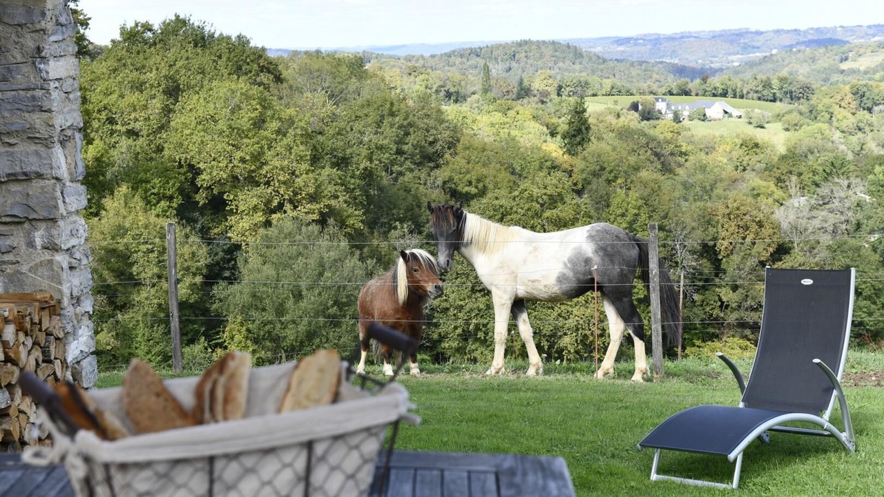 Photo of Outdoor in Lasseubetat