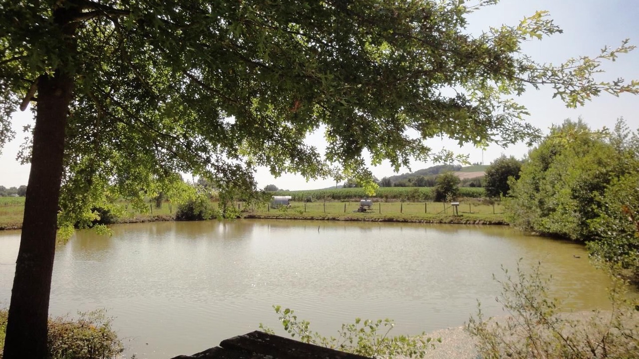 Photo of Outdoor in Ousse