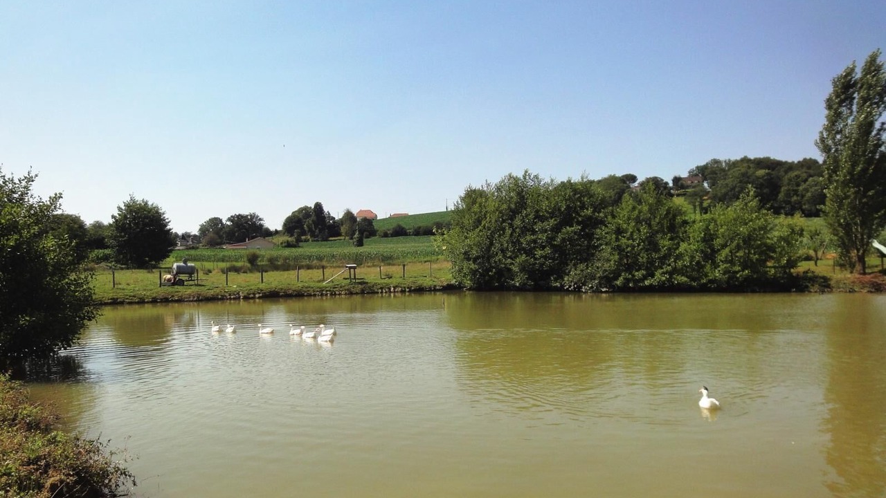 Photo of Outdoor in Ousse