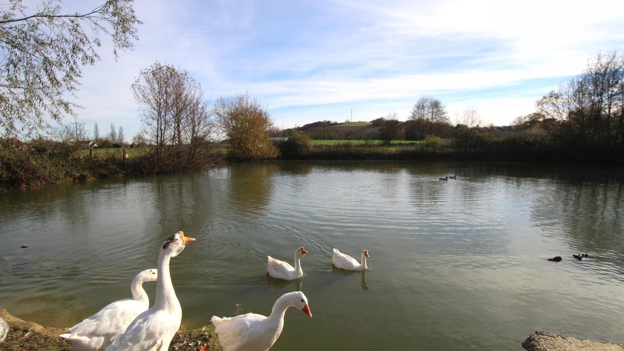 Photo of Others in Ousse