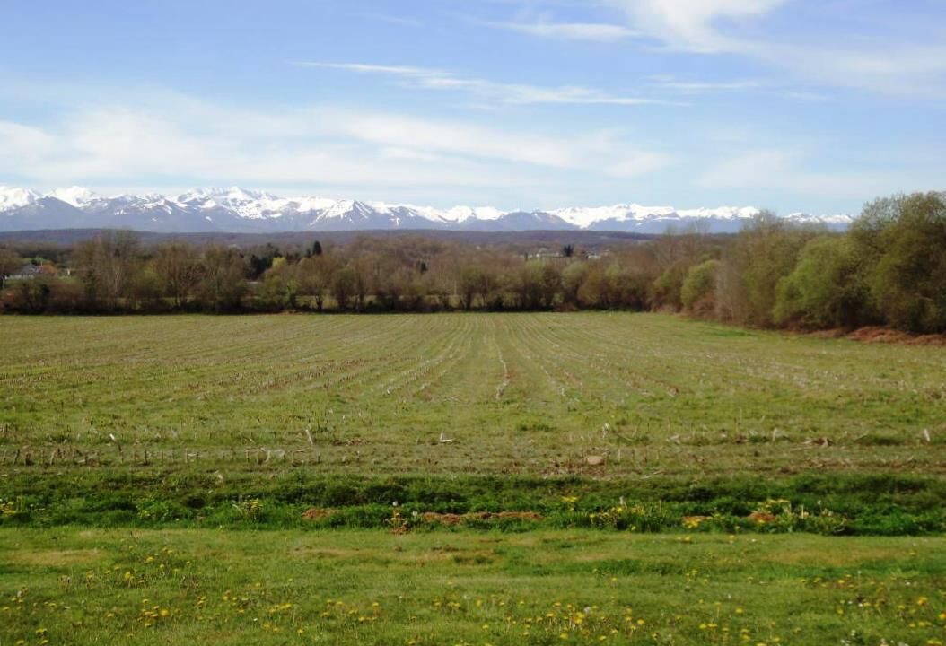 Photo of Others in Espoey