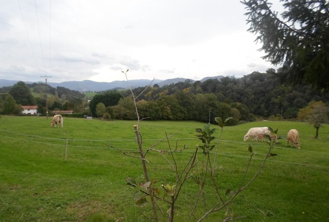 Photo of Outdoor in Sare