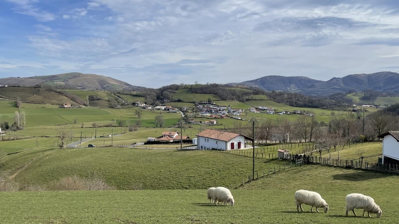 Photo of Outdoor in Jaxu