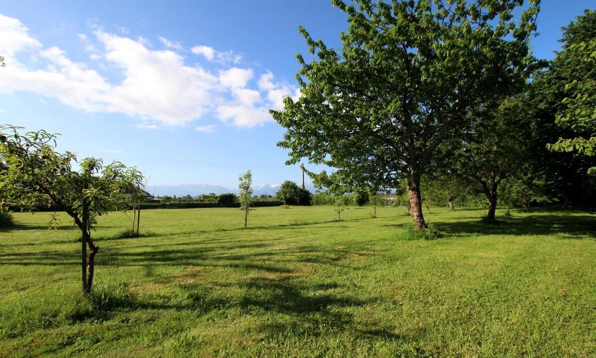 Photo of Outdoor in Assat