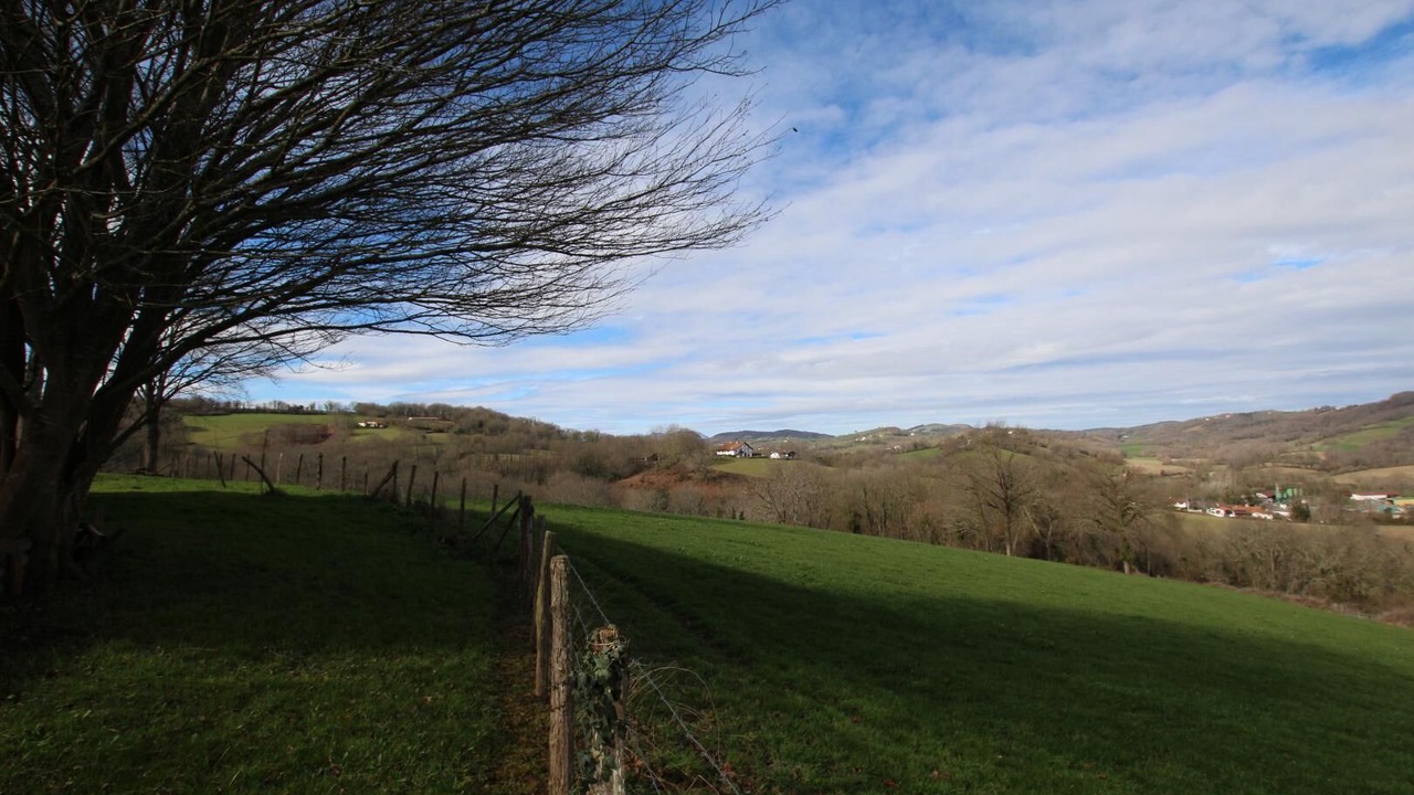 Photo of Outdoor in Saint-Palais