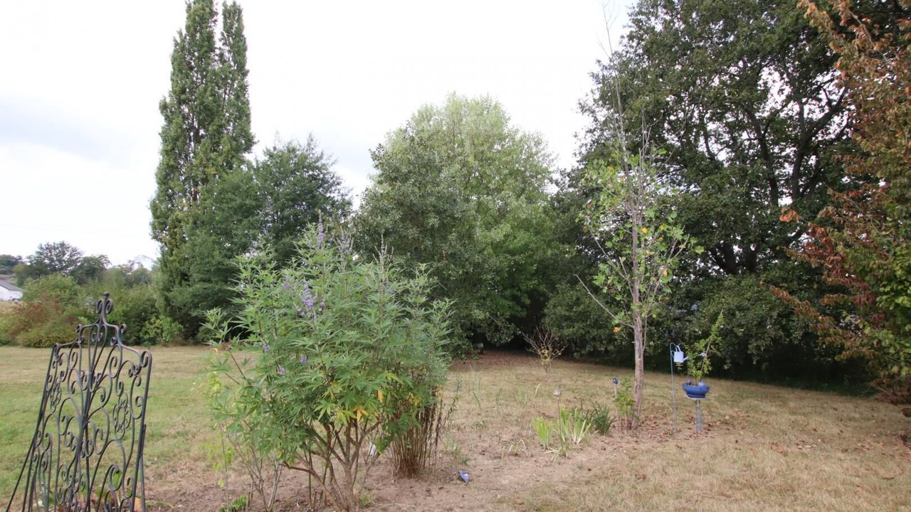 Photo of Outdoor in Auga