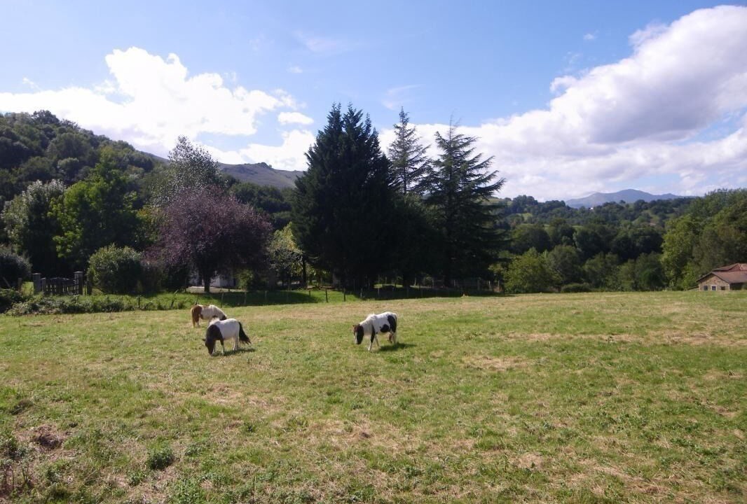 Photo of Outdoor in Ahaxe-Alciette-Bascassan