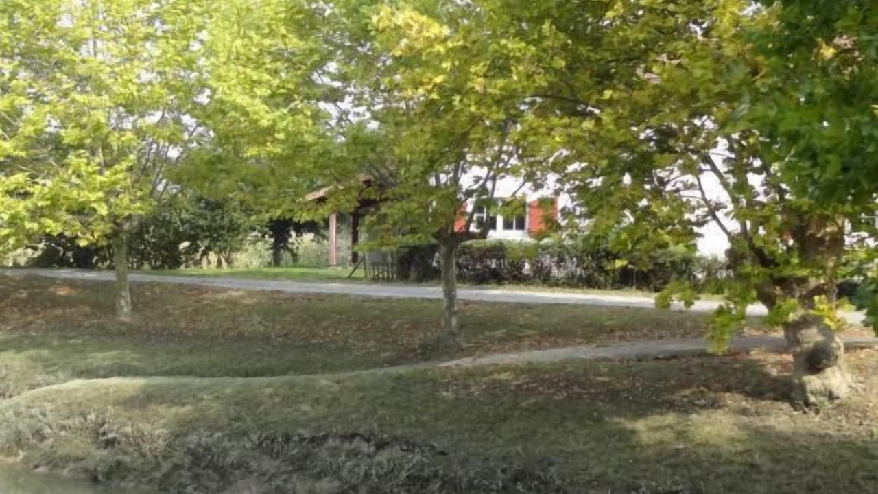 Photo of Others in Urcuit