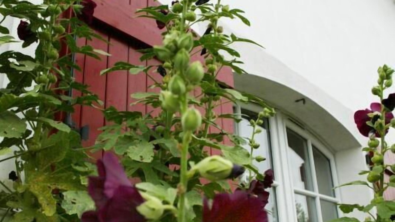 Photo of Outdoor in Urcuit