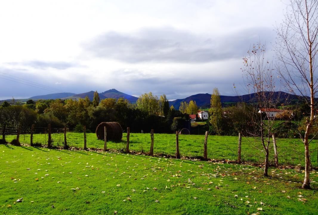 Photo of Others in Espelette