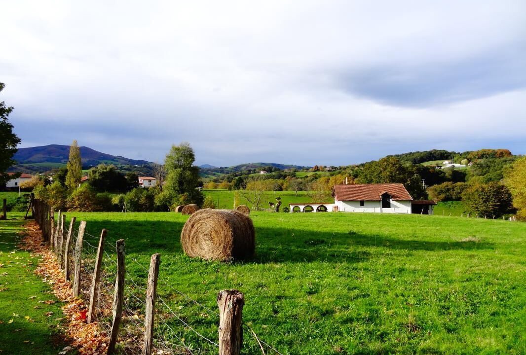 Photo of Outdoor in Espelette