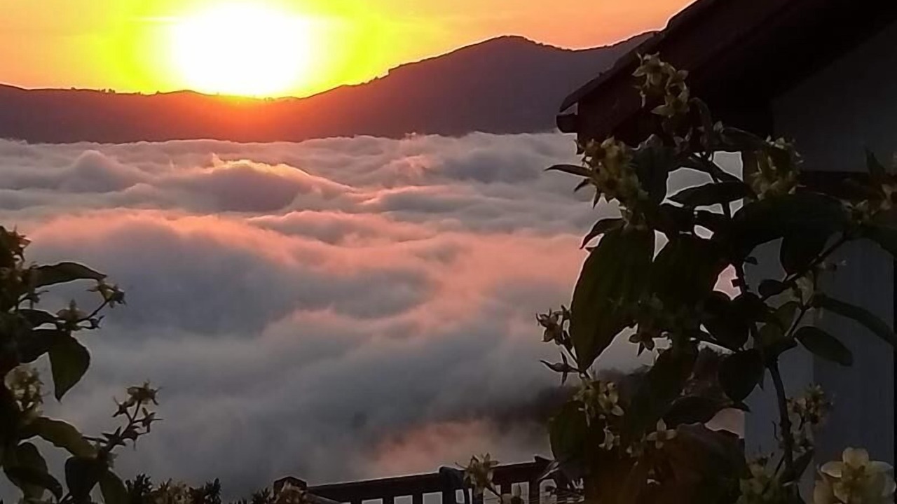 Photo of Outdoor in Saint-Michel