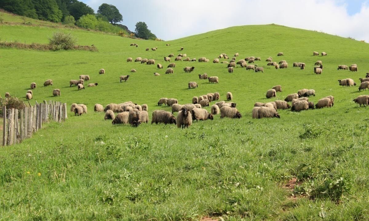 Photo of Outdoor in Saint-Michel