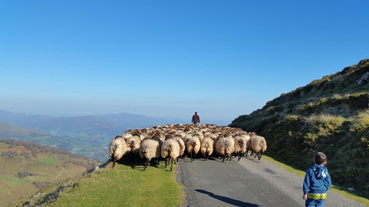Photo of Others in Saint-Michel