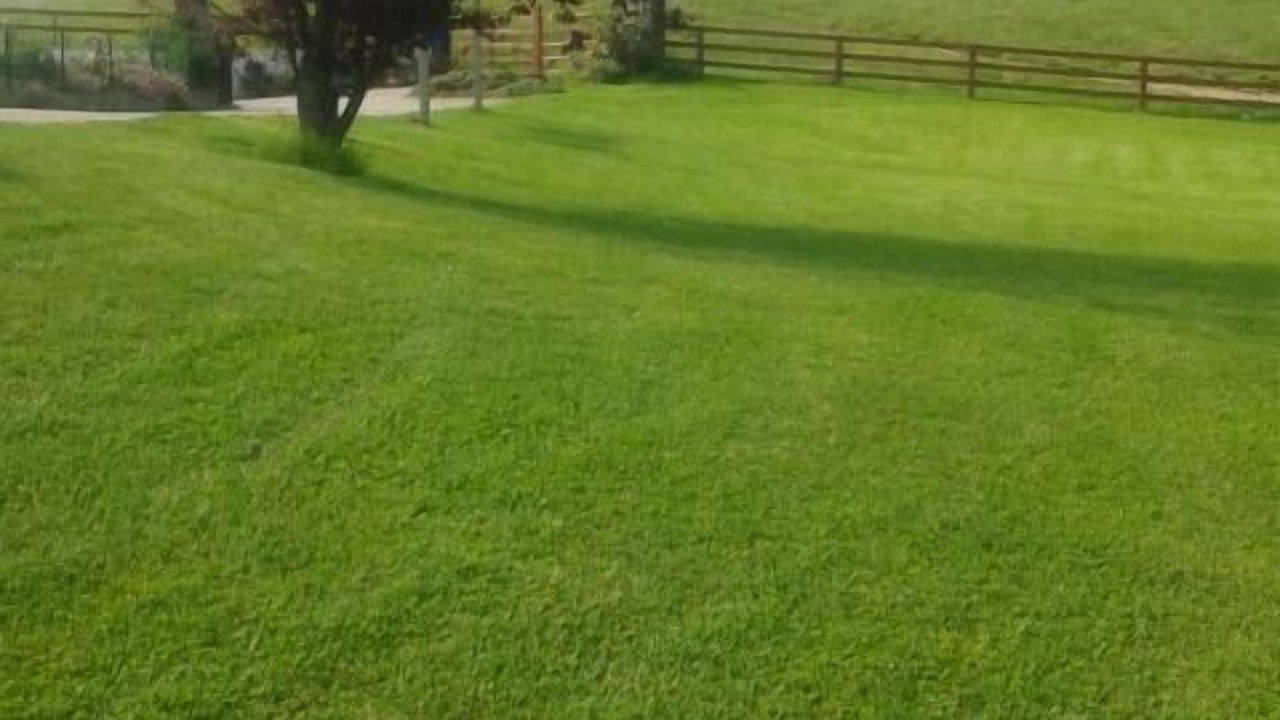 Photo of Outdoor in Sare