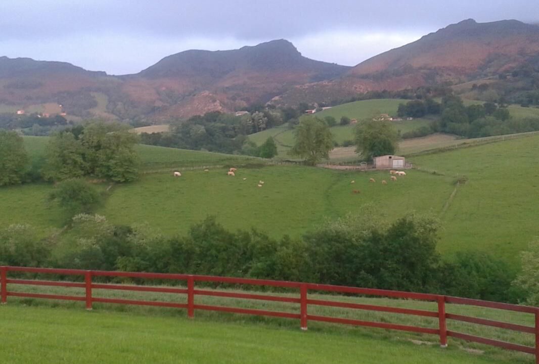 Photo of Outdoor in Sare
