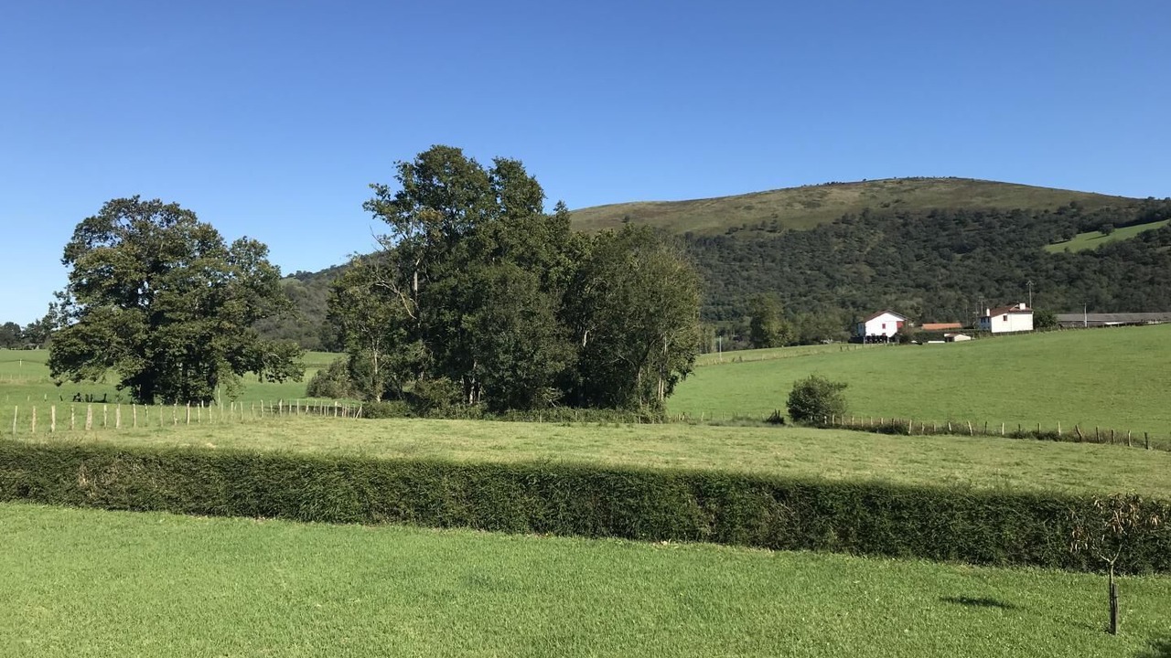 Photo of Others in Larceveau-Arros-Cibits