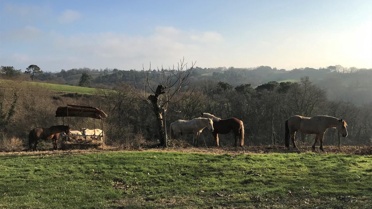 Photo of Outdoor in Saint-Girons-en-Bearn