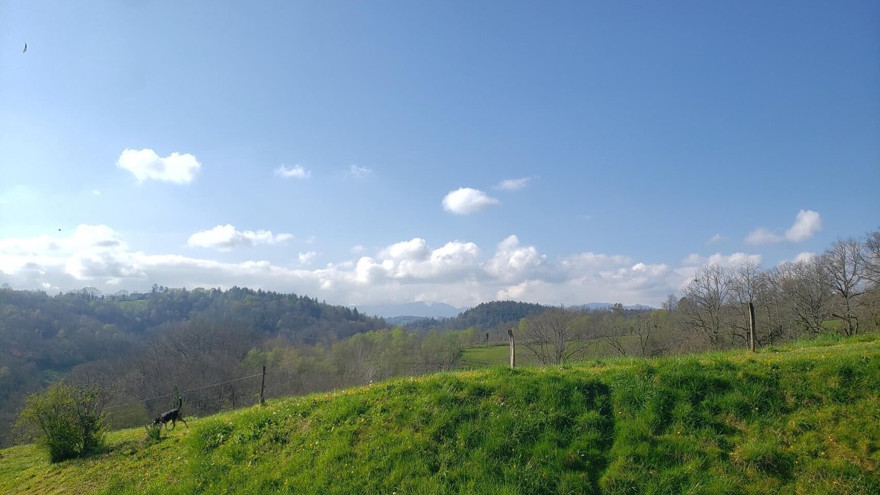 Photo of Outdoor in Lasseube