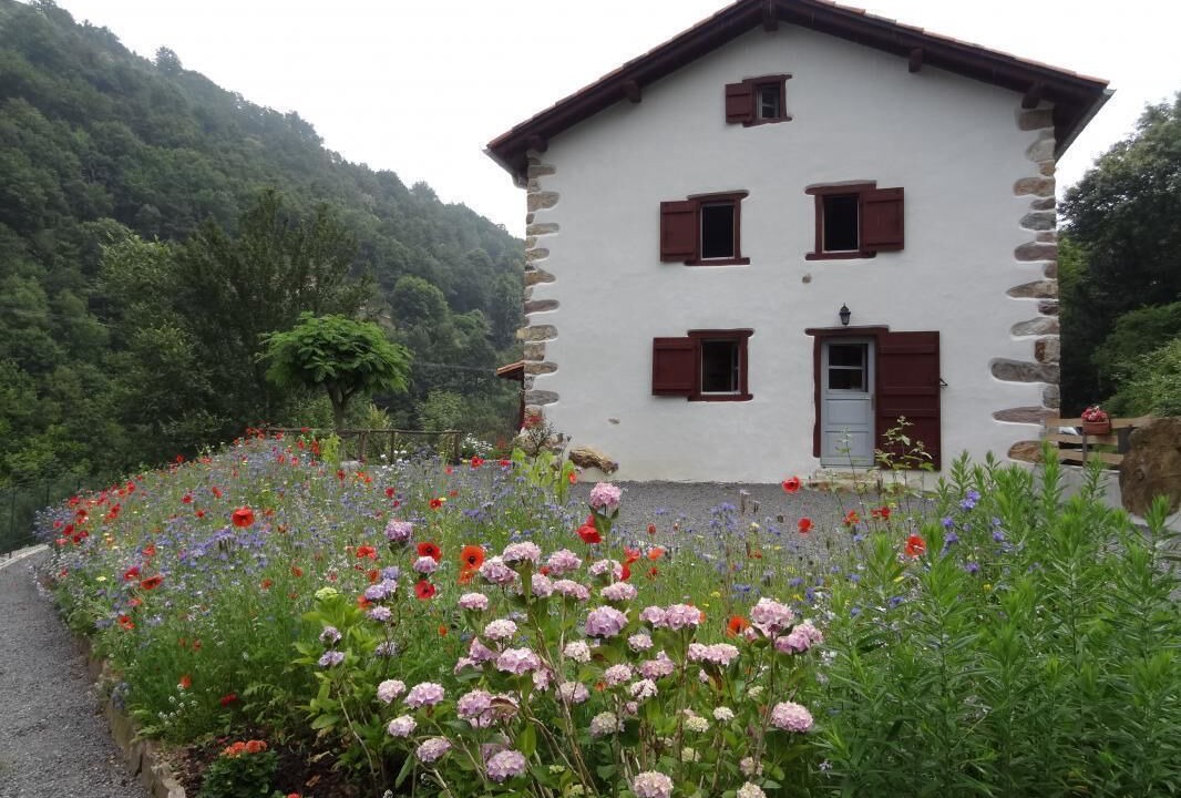 Photo of Outdoor in Banca