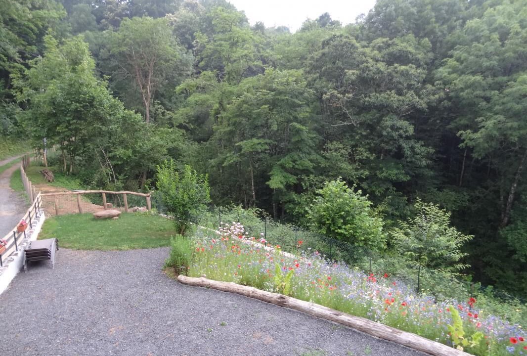 Photo of Outdoor in Banca