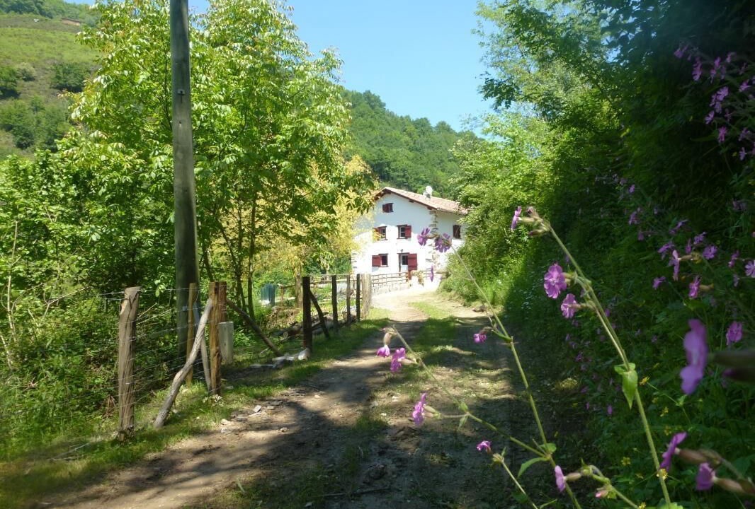 Photo of Outdoor in Banca