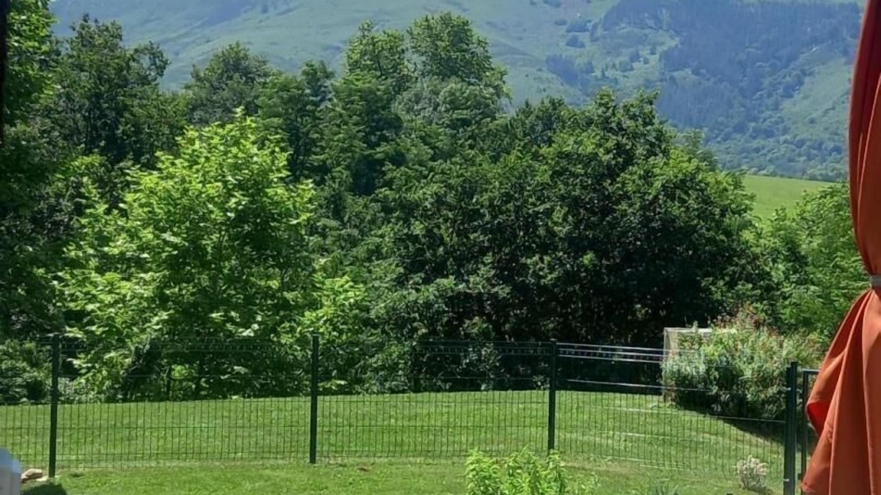 Photo of Outdoor in Sare