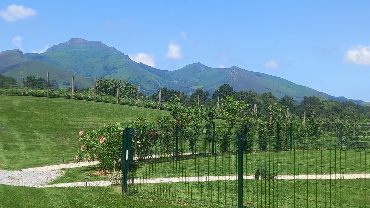 Photo of Outdoor in Sare